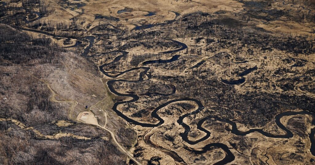 drought nino science GettyImages 1490441333 1024x536 - O iminente El Niño pode custar trilhões de dólares ao mundo